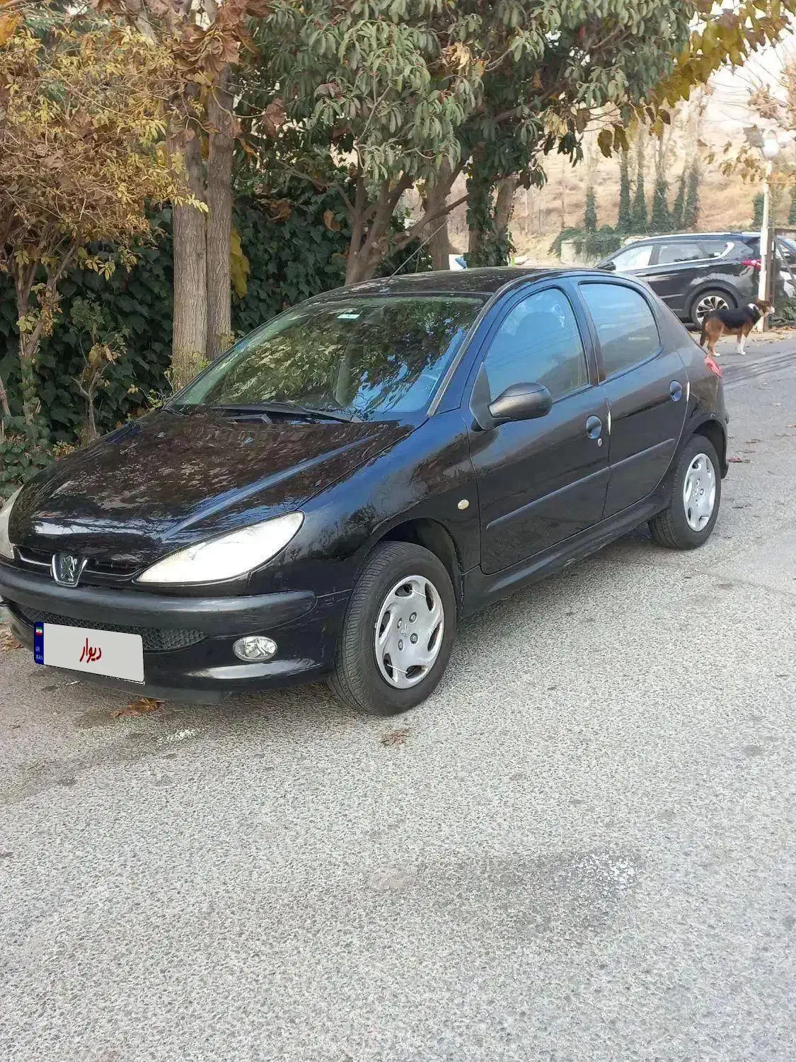 ۲۰۶ تیپ ۶|خودرو سواری و وانت|تهران, پونک|دیوار