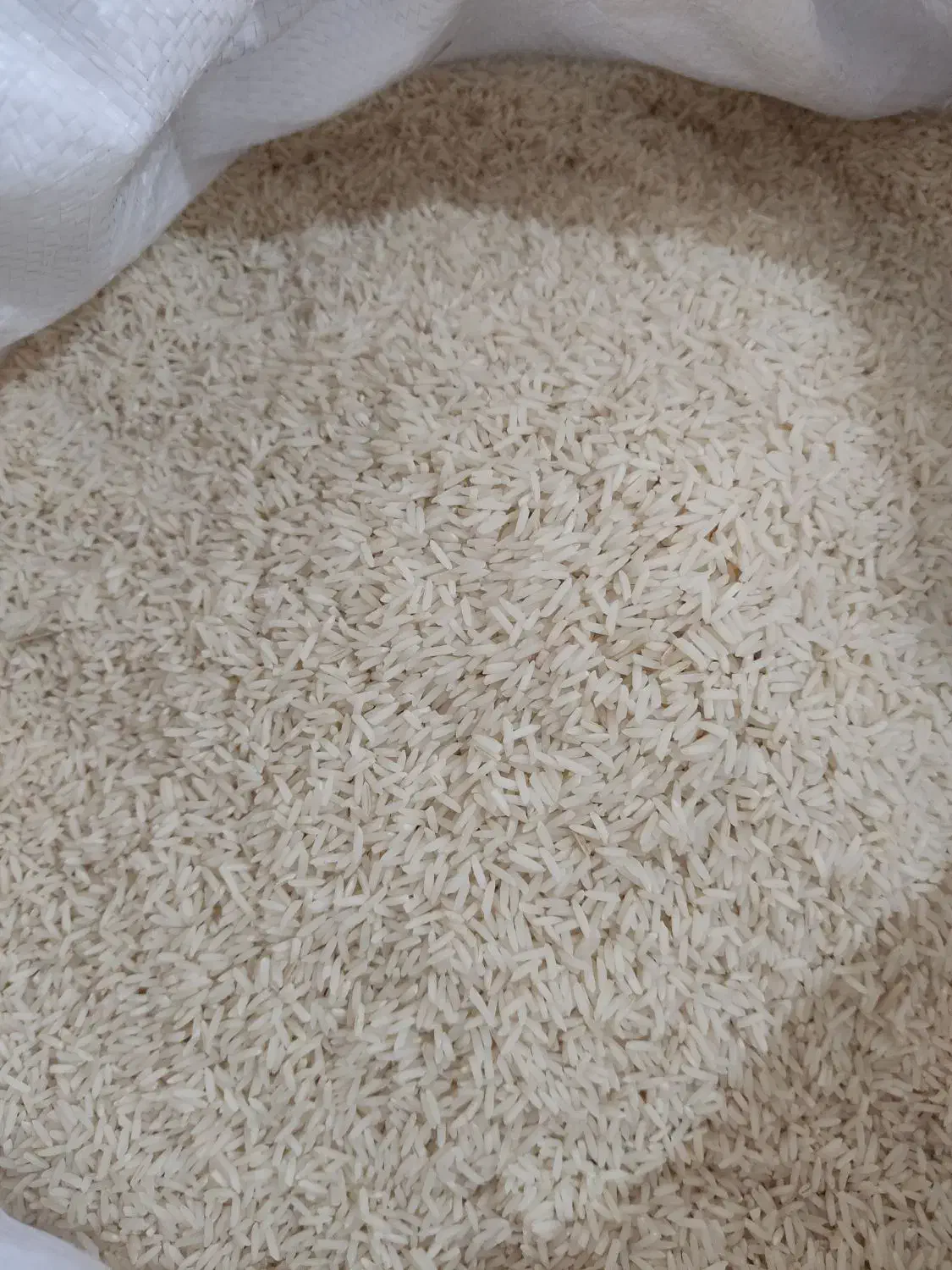 فروش برنج|خوردنی و آشامیدنی|رشت, معلولین|دیوار