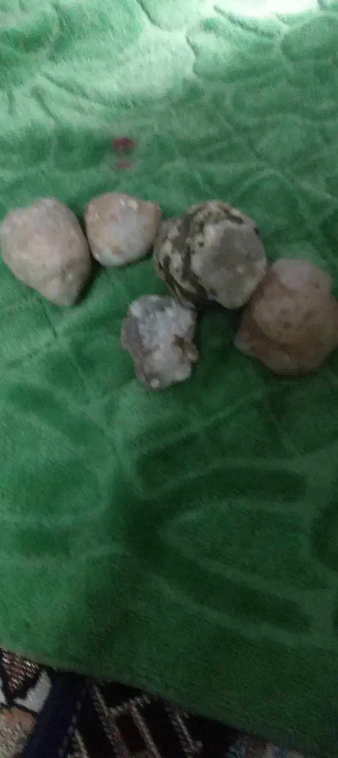 سنگ خاص|کلکسیون اشیاء عتیقه|محمدیه-قزوین, |دیوار