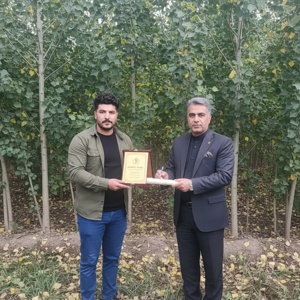 کاشت نـهـال صنـوبـر درآمدی مطمئن|خدمات باغبانی و درختکاری|مریوان, |دیوار