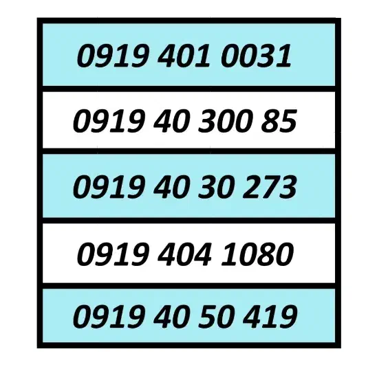 0919.308.9005|سیم‌کارت|کرج, شاهین‌ویلا|دیوار