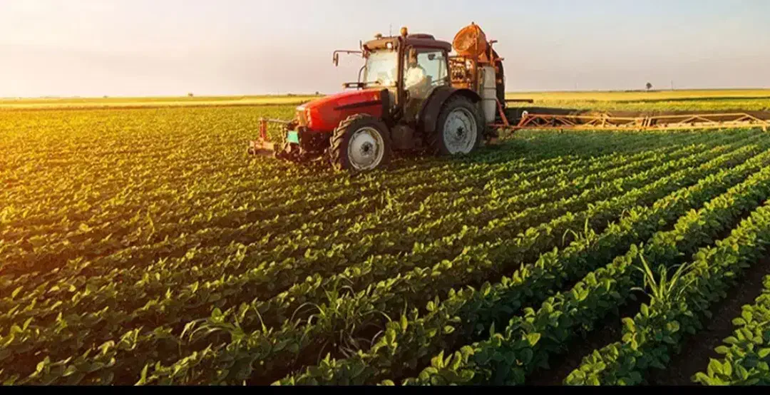 فروش زمین کشاورزی با آب کامل قره مصلی و ملاحسن|فروش زمین و ملک کلنگی|آشخانه, |دیوار