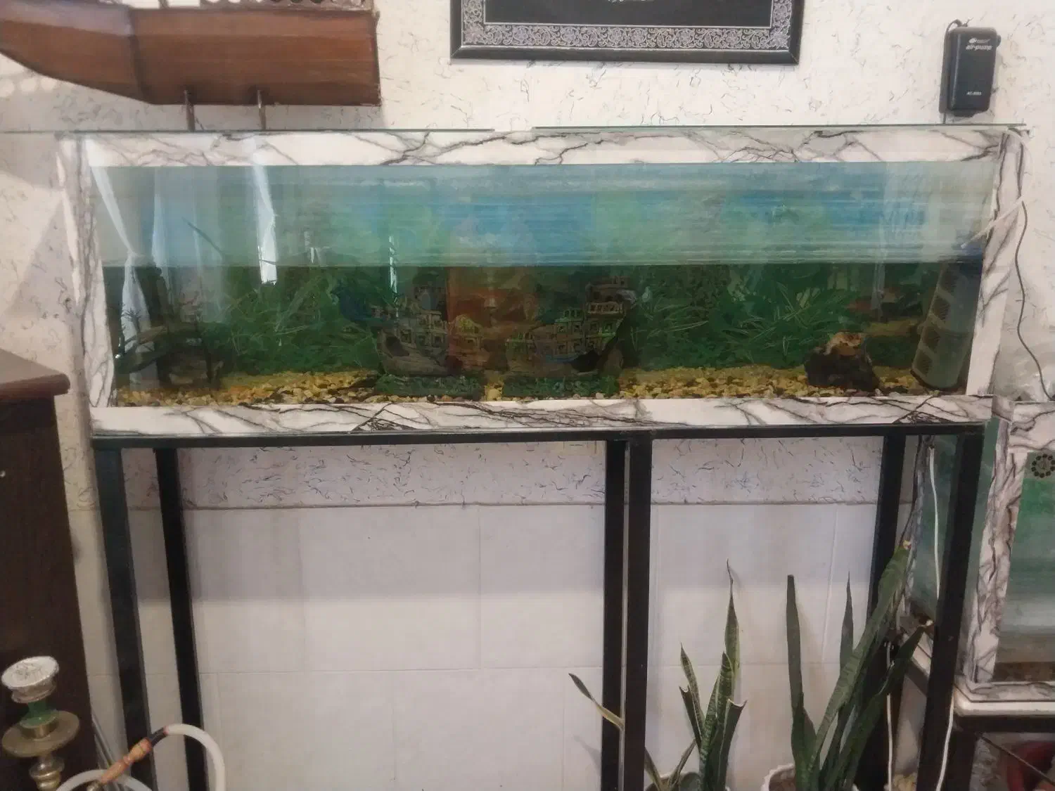 دو عدد آکواریوم کامل|ماهی|رفسنجان, |دیوار
