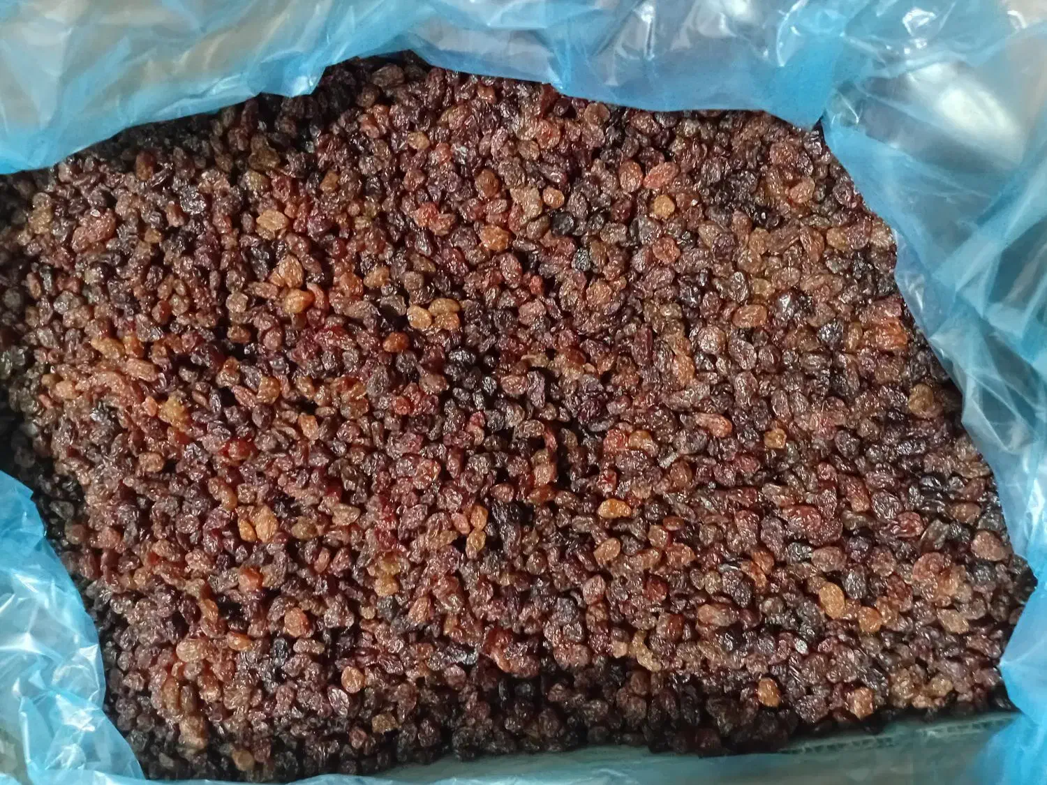 کشمش اعلا|خوردنی و آشامیدنی|تهران, آبشار|دیوار