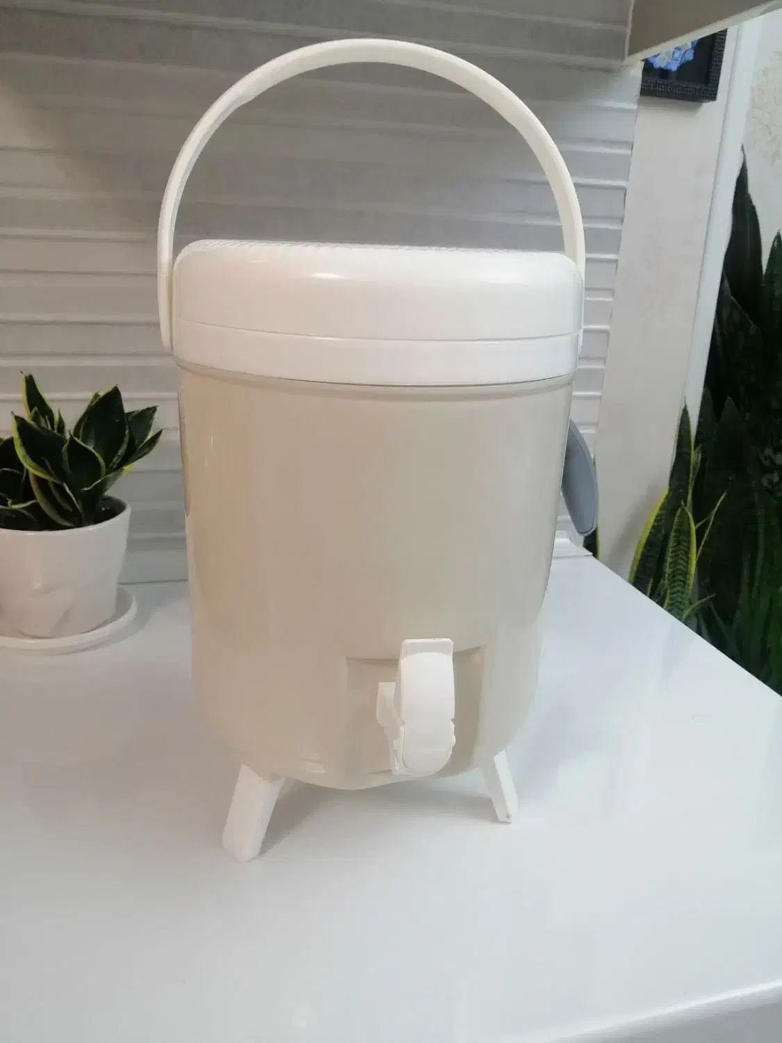 کلمن آب نو و آک|ظروف نگهدارنده، پلاستیکی، یک‌بارمصرف|اهواز, زیتون کارمندی|دیوار