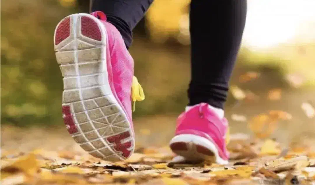 همراه برای پیاده روی|فعالیت داوطلبانه|اردبیل, |دیوار