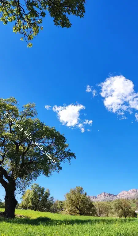 خاستار ضامن کارمند برایه وام ازدواج|خدمات مالی، حسابداری، بیمه|جیرفت, |دیوار