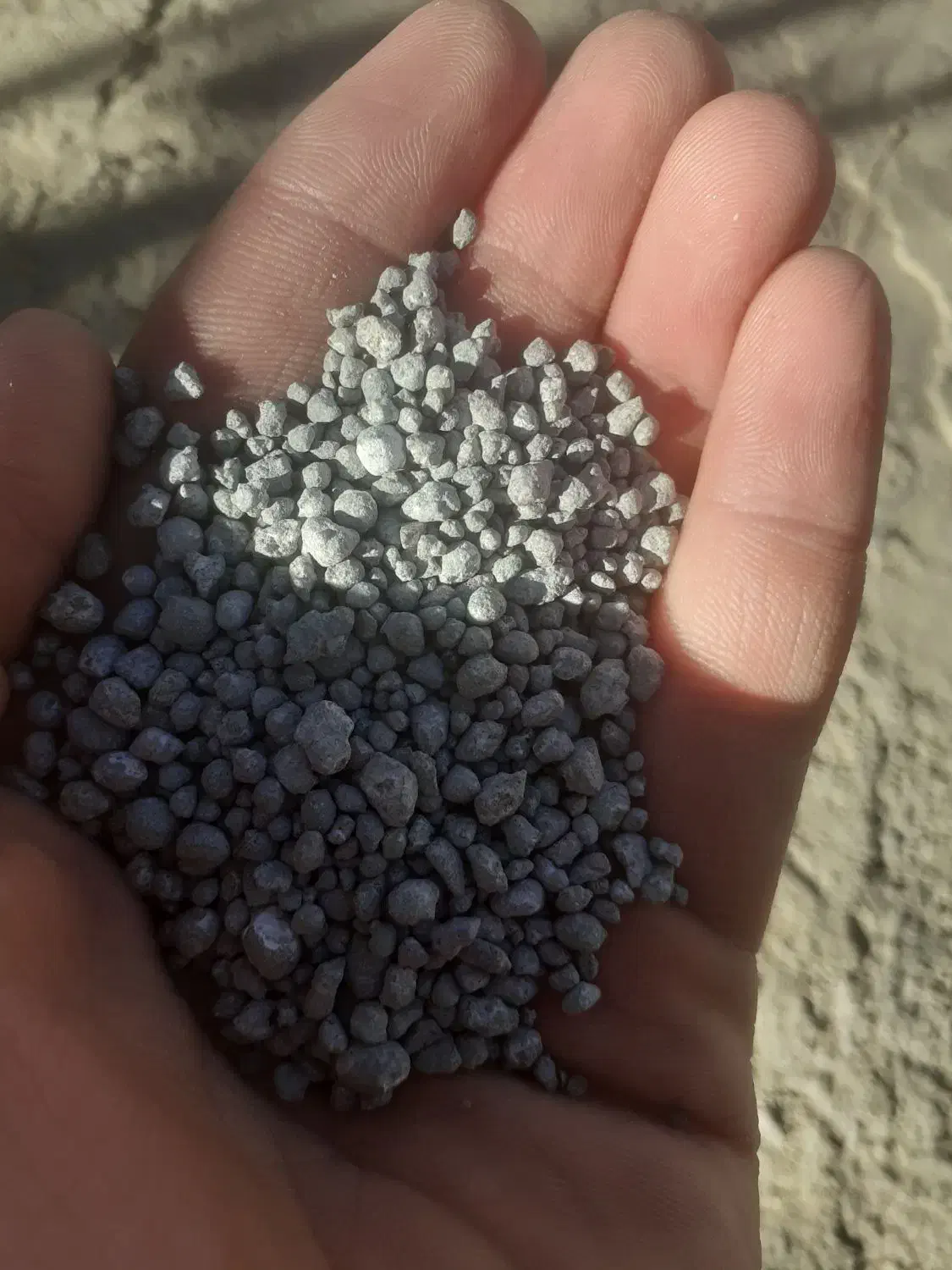 کود شیمیایی سوپر فسفات و کود شیمیایی سولفات پتاسیم|خدمات باغبانی و درختکاری|تاکستان, |دیوار