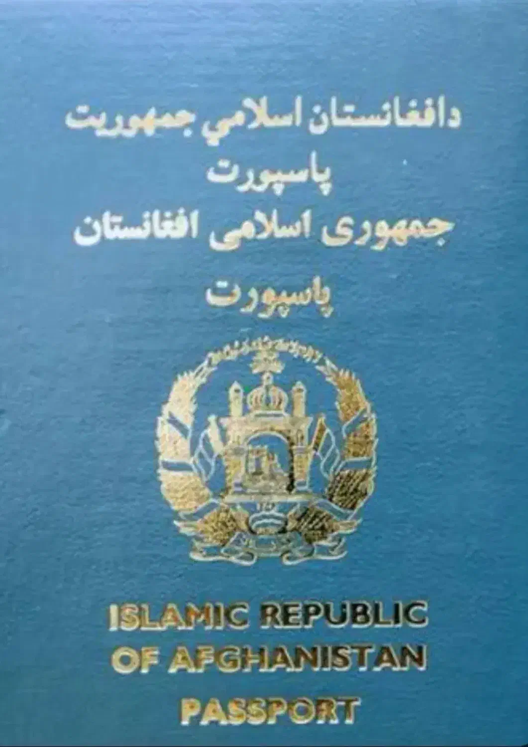 پاسپورت گم شده|اشیا|بومهن, |دیوار