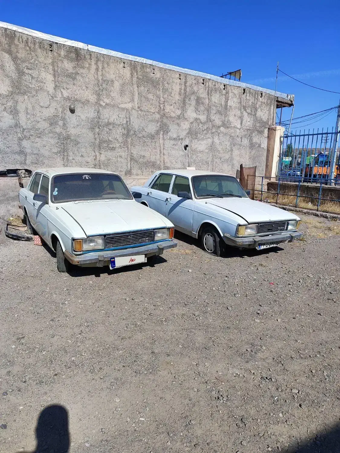 فروش دو عدد پیکان مدل 81|خودرو سواری و وانت|میانه, |دیوار