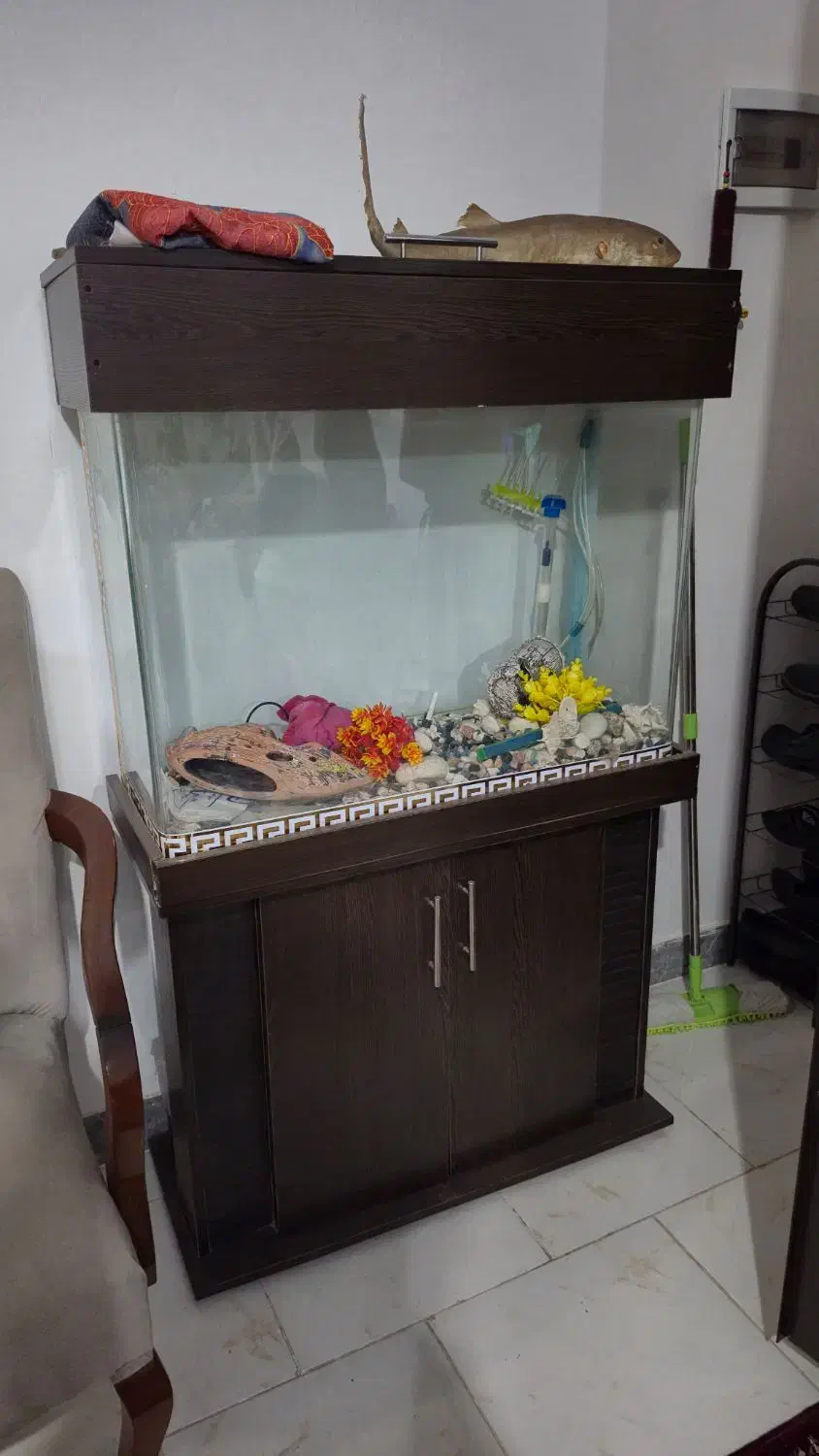 اکواریوم خارجی یک تیکه خم با کمد لوازم|ماهی|هشتگرد, فاز ۱ مهستان|دیوار