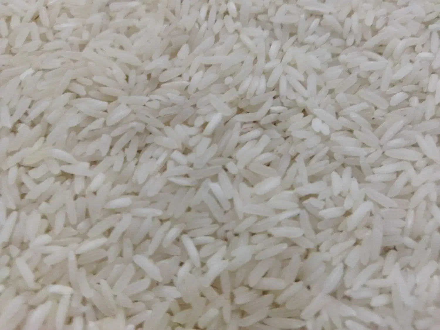 برنج آمریکایی کشت خوش پخت کیلویی ۱۴۰ هزار|حراج|ایلام, |دیوار