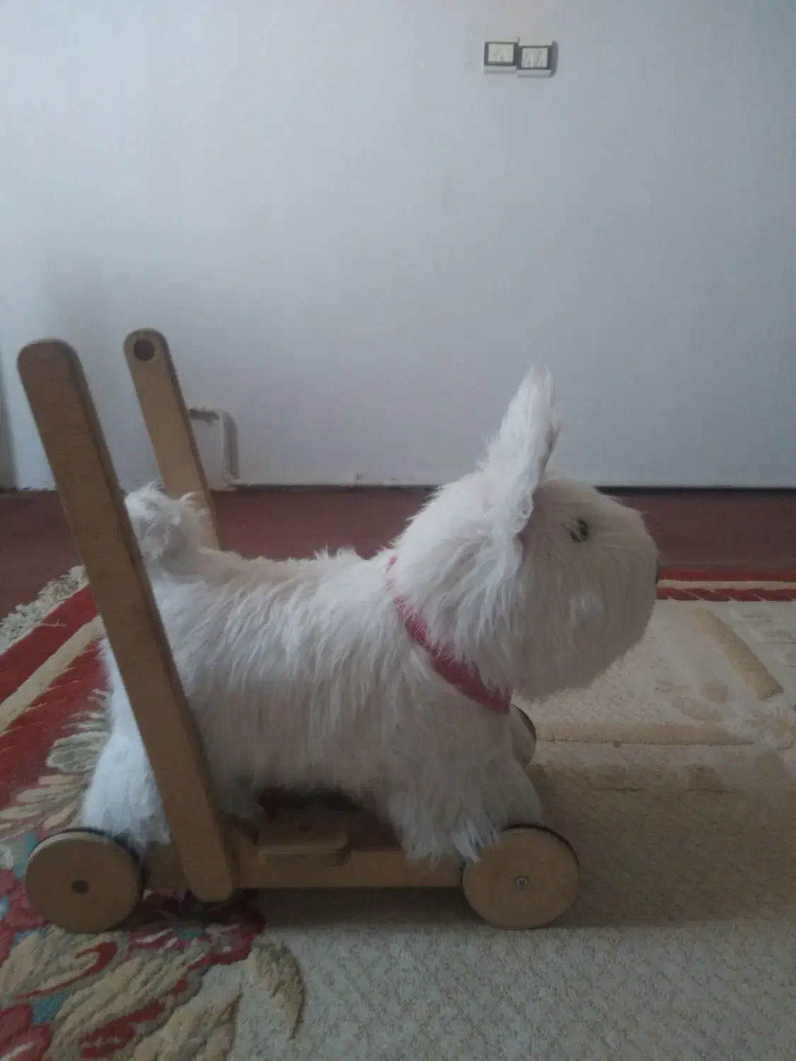 سرگرمی|اسباببازی بچه|نسیمشهر, |دیوار