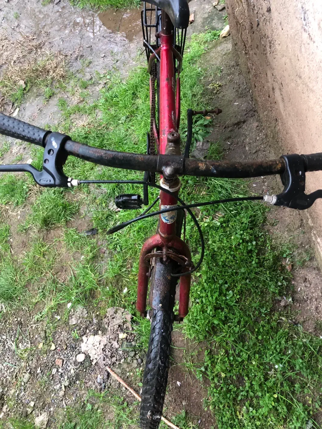 دوچرخه۲۴|دوچرخه، اسکیت، اسکوتر|سنگر, |دیوار