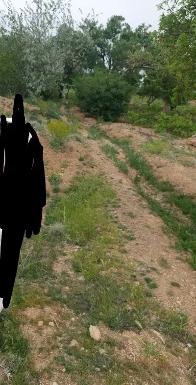 زمین باغی بدون آب خیرآباد|فروش دفتر صنعتی، کشاورزی، تجاری|معصومیه, |دیوار