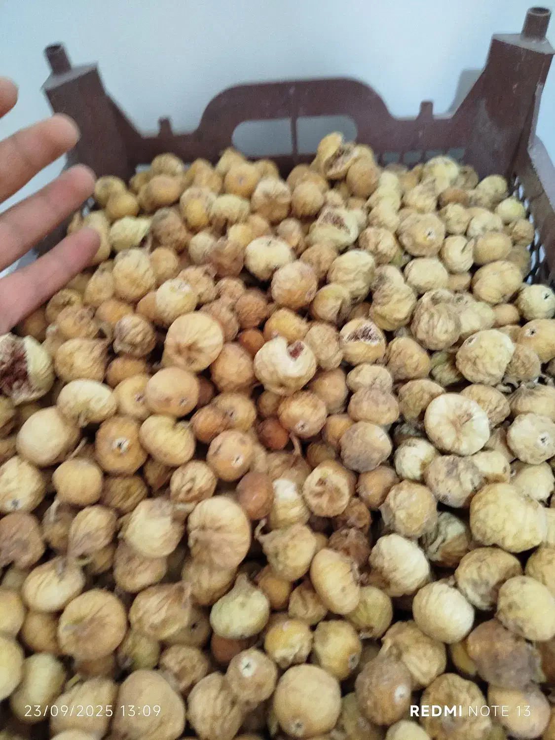 انجیر|خوردنی و آشامیدنی|شیراز, شاپورجان|دیوار