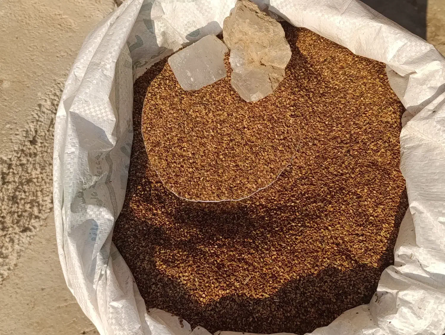 کنجد تازه بوجاری شده|خوردنی و آشامیدنی|وحدتیه, |دیوار