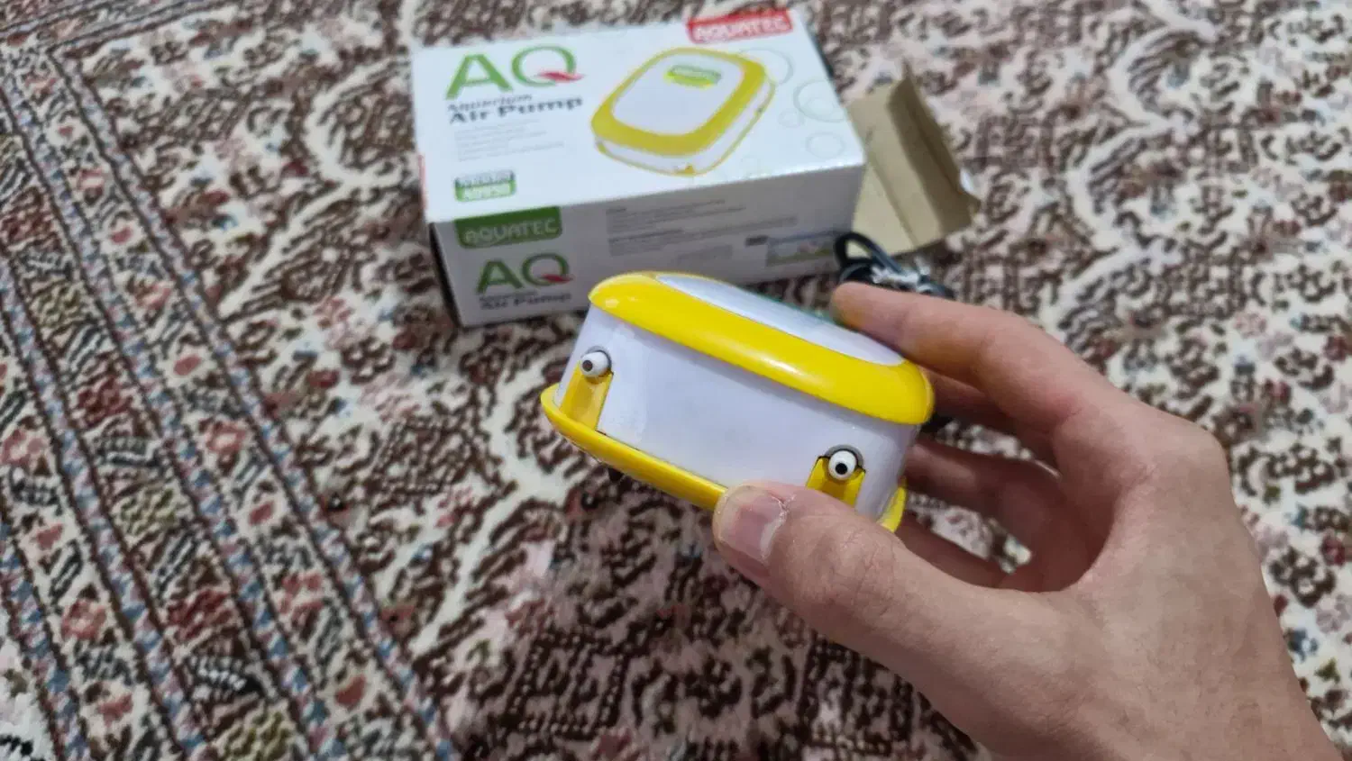 لوازم اکواریوم|ماهی|ارومیه, |دیوار