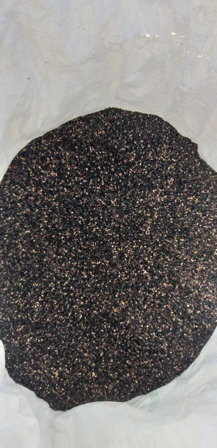 کنجدسیاه و سفید موجود هست|عمدهفروشی|اصلاندوز, |دیوار