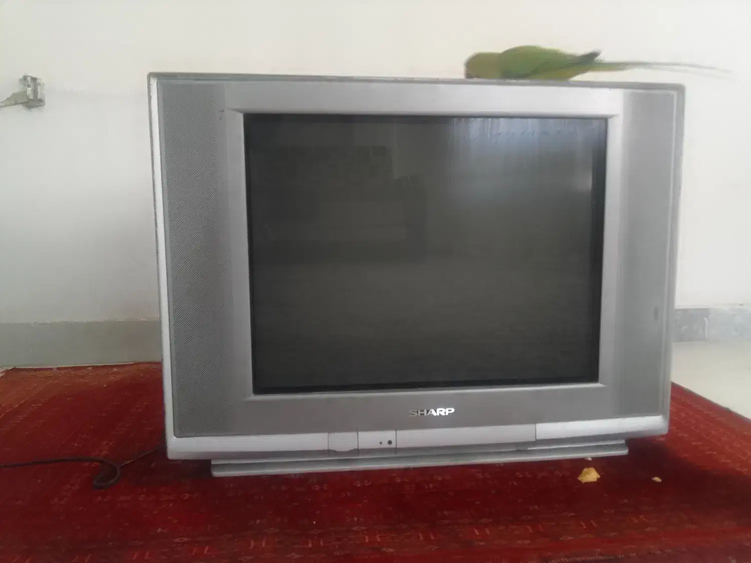 تلویزیون شارپ قدیمی sharp|تلویزیون و پروژکتور|بابل, |دیوار