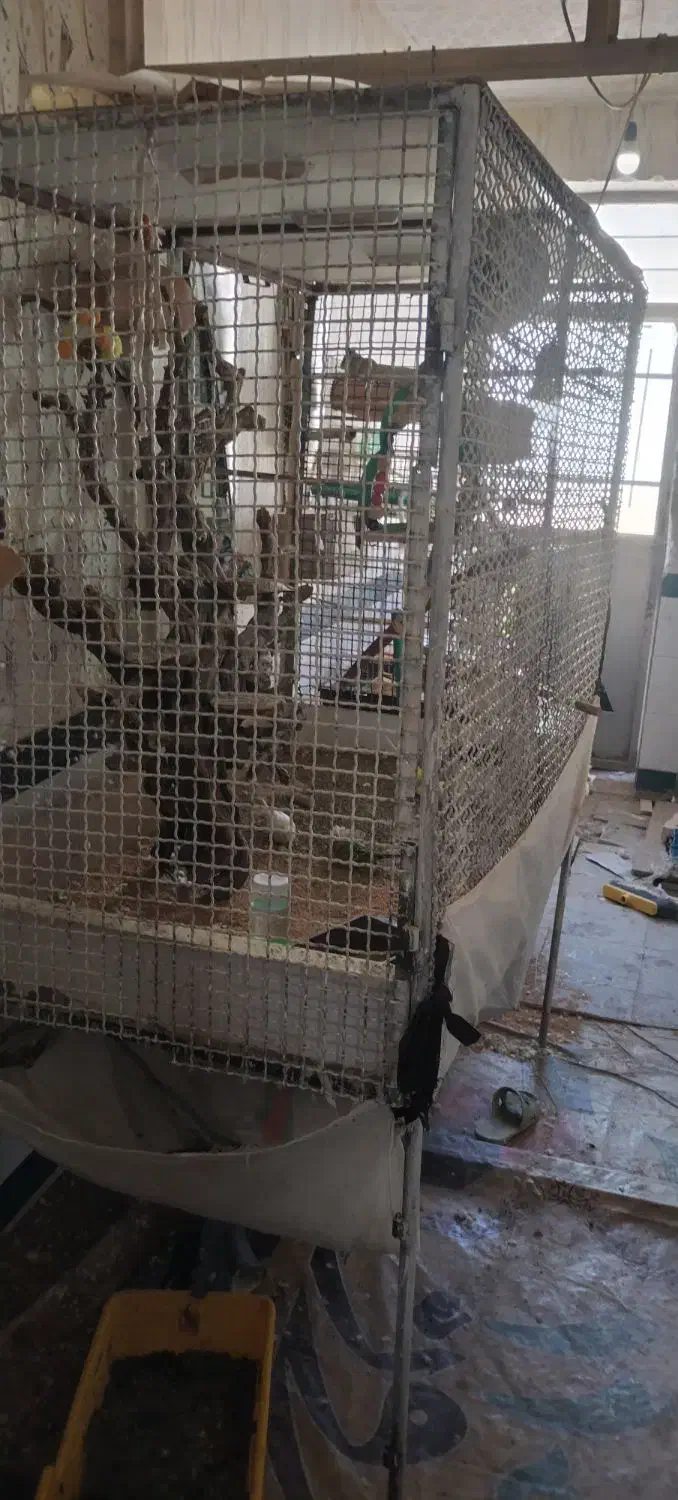 قفس بزرگ پرنده|لوازم جانبی حیوانات|نیشابور, کریم آباد|دیوار