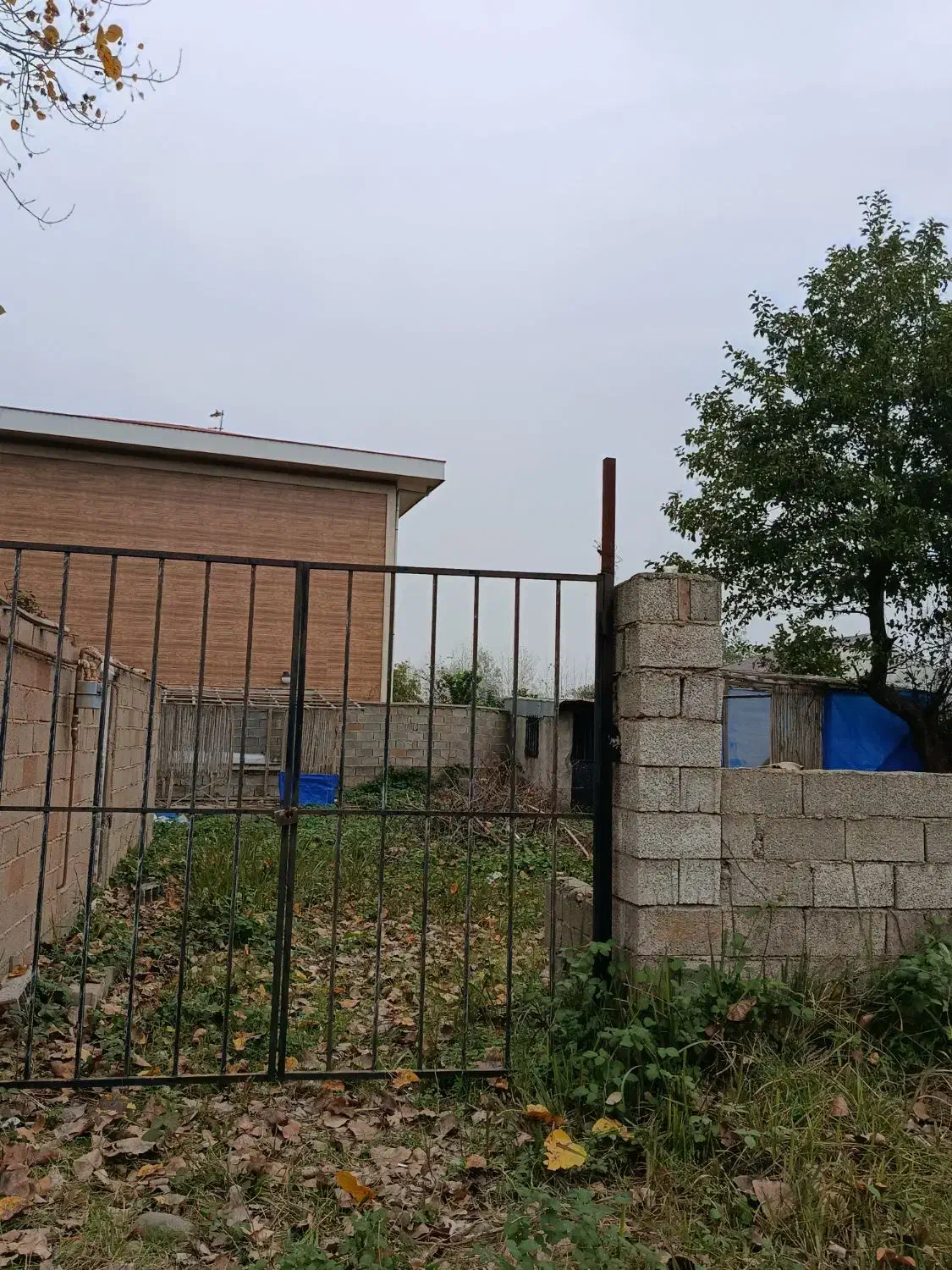 فروش زمین تک برگ سند براول خیابون اصلی|فروش زمین و ملک کلنگی|چاف و چمخاله, |دیوار