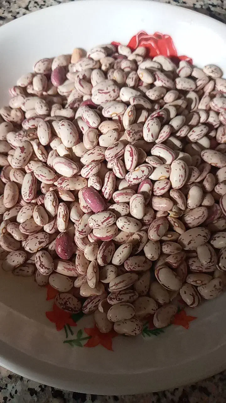 لوبیا چیتی خوش پخت مال امسال|خوردنی و آشامیدنی|رزن, |دیوار