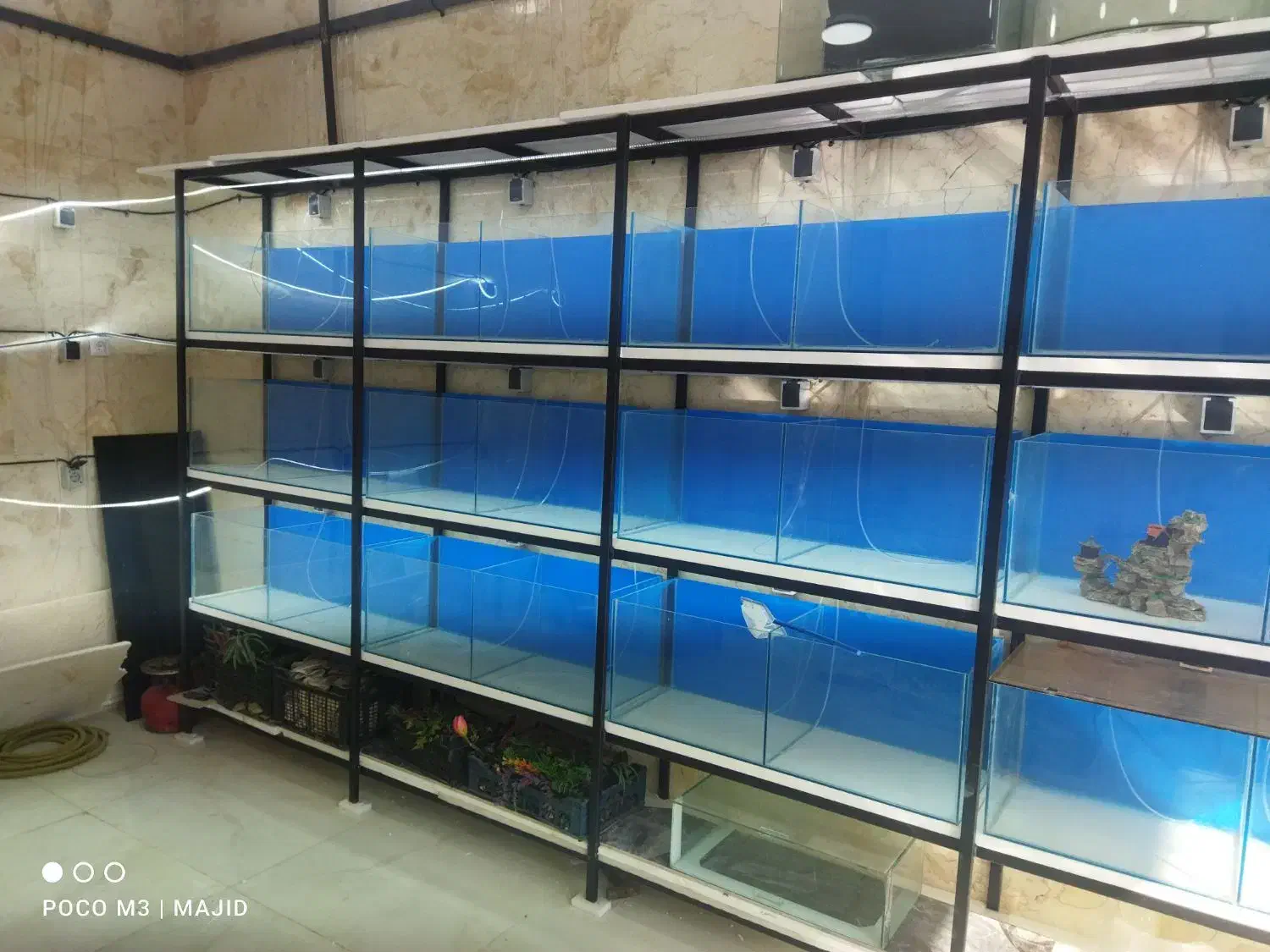 آکواریوم نو|ماهی|مشهد, انقلاب|دیوار
