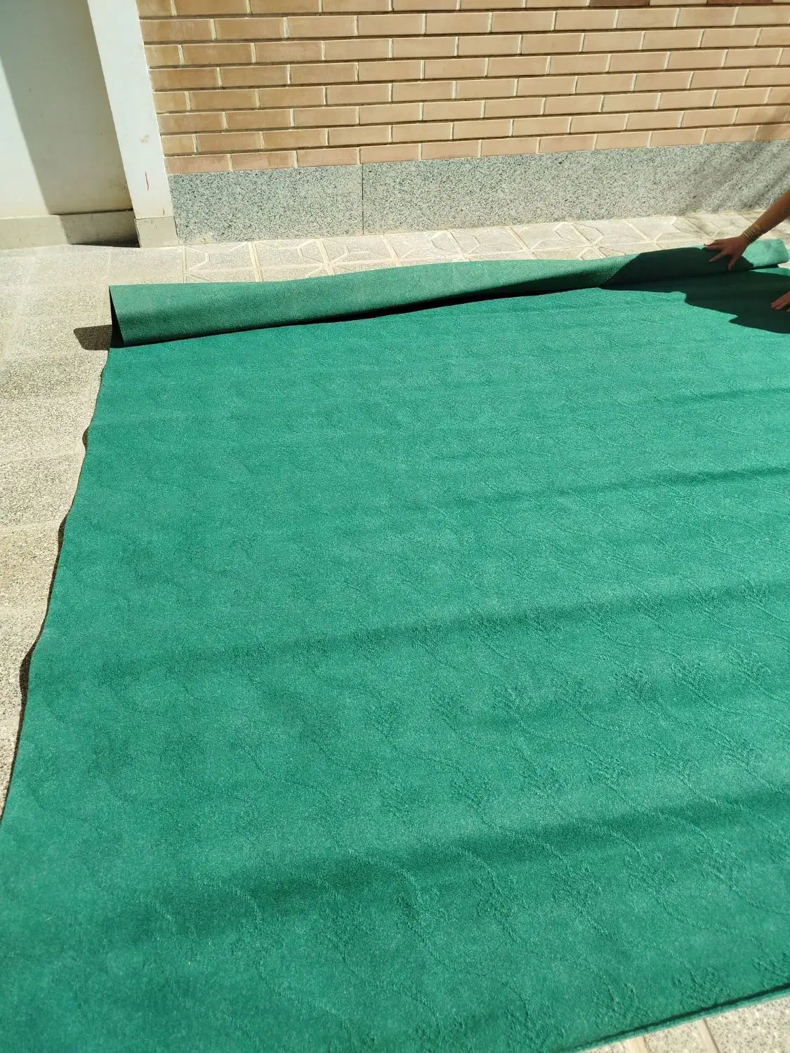 موکت|موکت|بیرجند, |دیوار