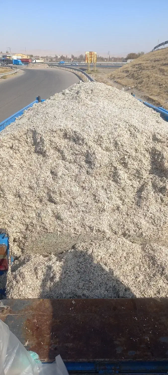 تفاله چغندر|لوازم جانبی حیوانات|بستان آباد, |دیوار