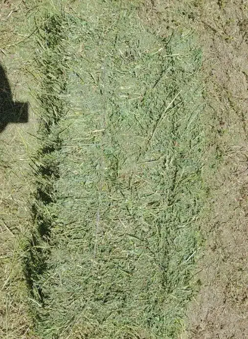 یونجه انباری|لوازم جانبی حیوانات|دشتابی, |دیوار