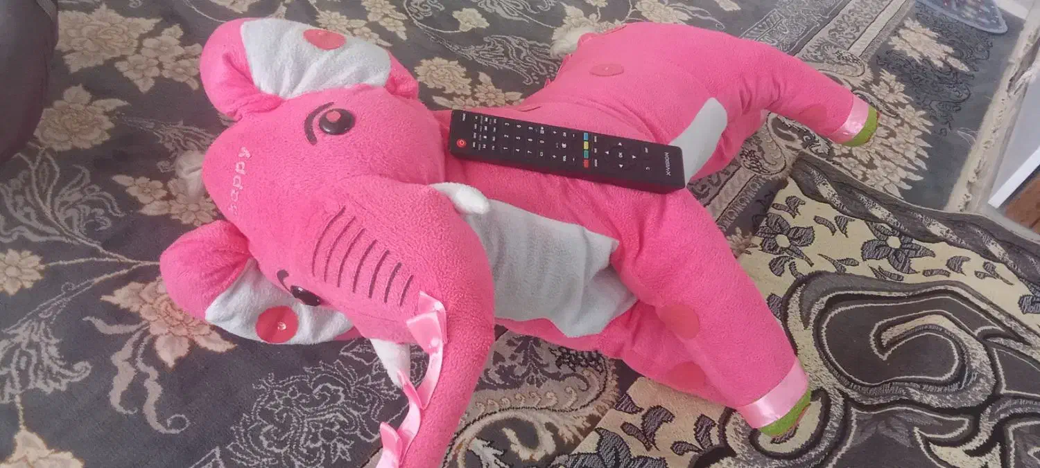 کریر وفیل بزرگ وکلی لوازم سیسمونی دیگه زیاده|کالسکه و لوازم جانبی|تربت جام, شاد|دیوار