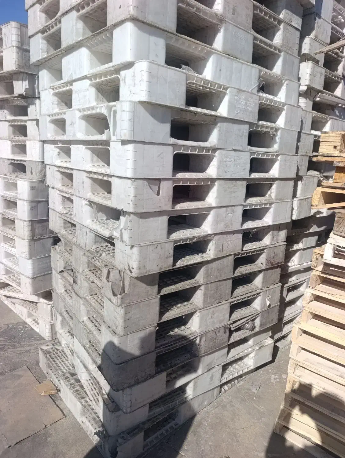 پالت پلاستیکی سفید|خدمات پیشه و مهارت|زرندیه, |دیوار