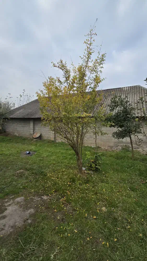 ویلا باغ ۷۵۰ متری با امتیازات|فروش زمین و ملک کلنگی|کوچصفهان, |دیوار