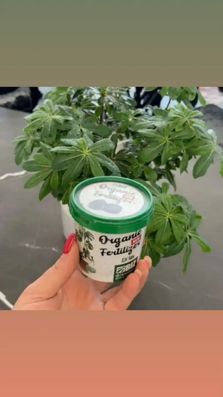 با قرص کود به گل هات زندگی بده|گل و گیاه طبیعی|پاکدشت, پاکدشت (مامازند)|دیوار