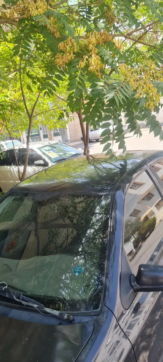 سمند ۸۲ دوگانه|خودرو سواری و وانت|قائمشهر, |دیوار