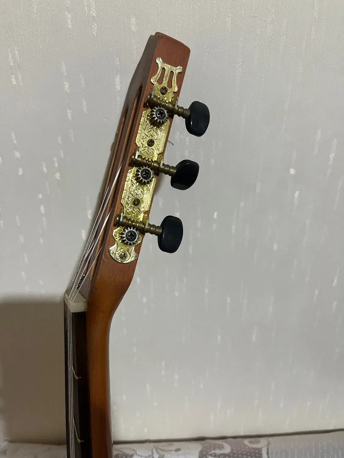 گیتار پارسی مدل M3|گیتار، بیس، امپلیفایر|شیراز, شهرک فرهنگیان|دیوار