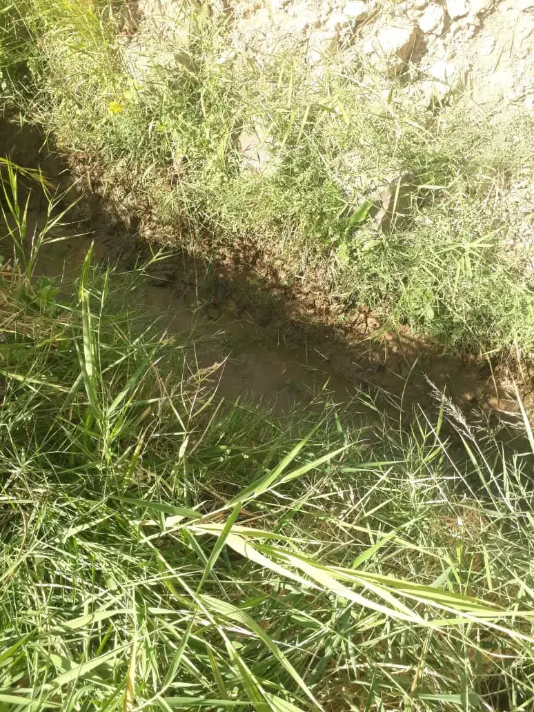 باغبان|استخدام سرایداری و نظافت|فیروزکوه, |دیوار