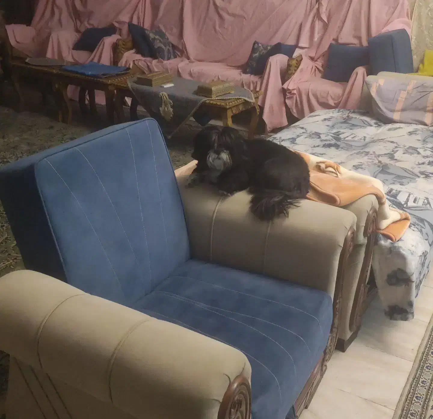 هتل پانسیون پت مراقبت سگ و حیوانات خانگی کوکو|خدمات پیشه و مهارت|اصفهان, عباس‌آباد|دیوار