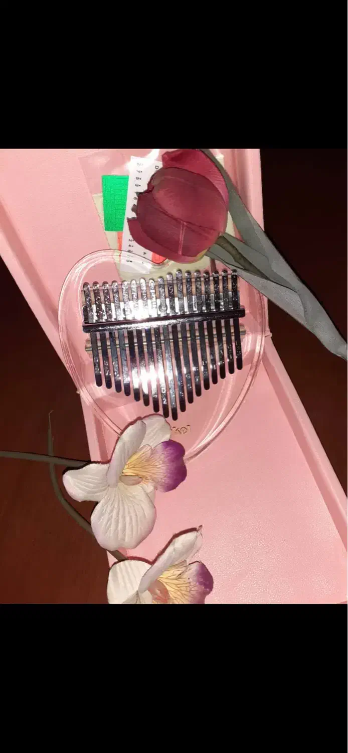 ساز|آلات موسیقی|تهران, قلهک|دیوار