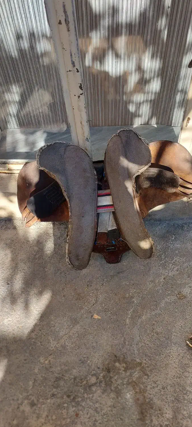 زین اسب|اسب و تجهیزات اسب‌سواری|بوکان, |دیوار