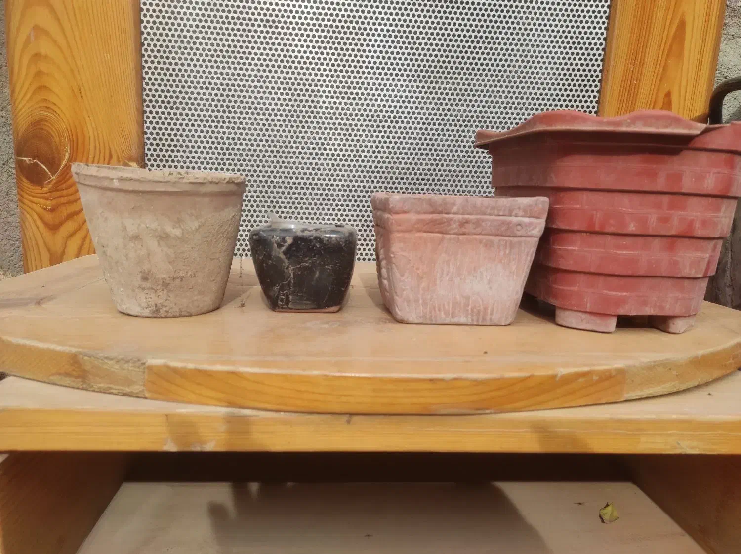 تعدادی گلدان|گل و گیاه طبیعی|سبزوار, شرق کال شمالی|دیوار