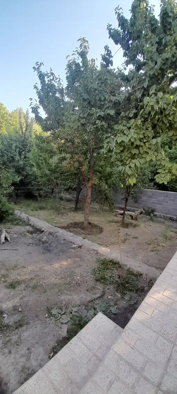 زمین مسکونی همراه باغ|فروش خانه و ویلا|لاله زار, |دیوار