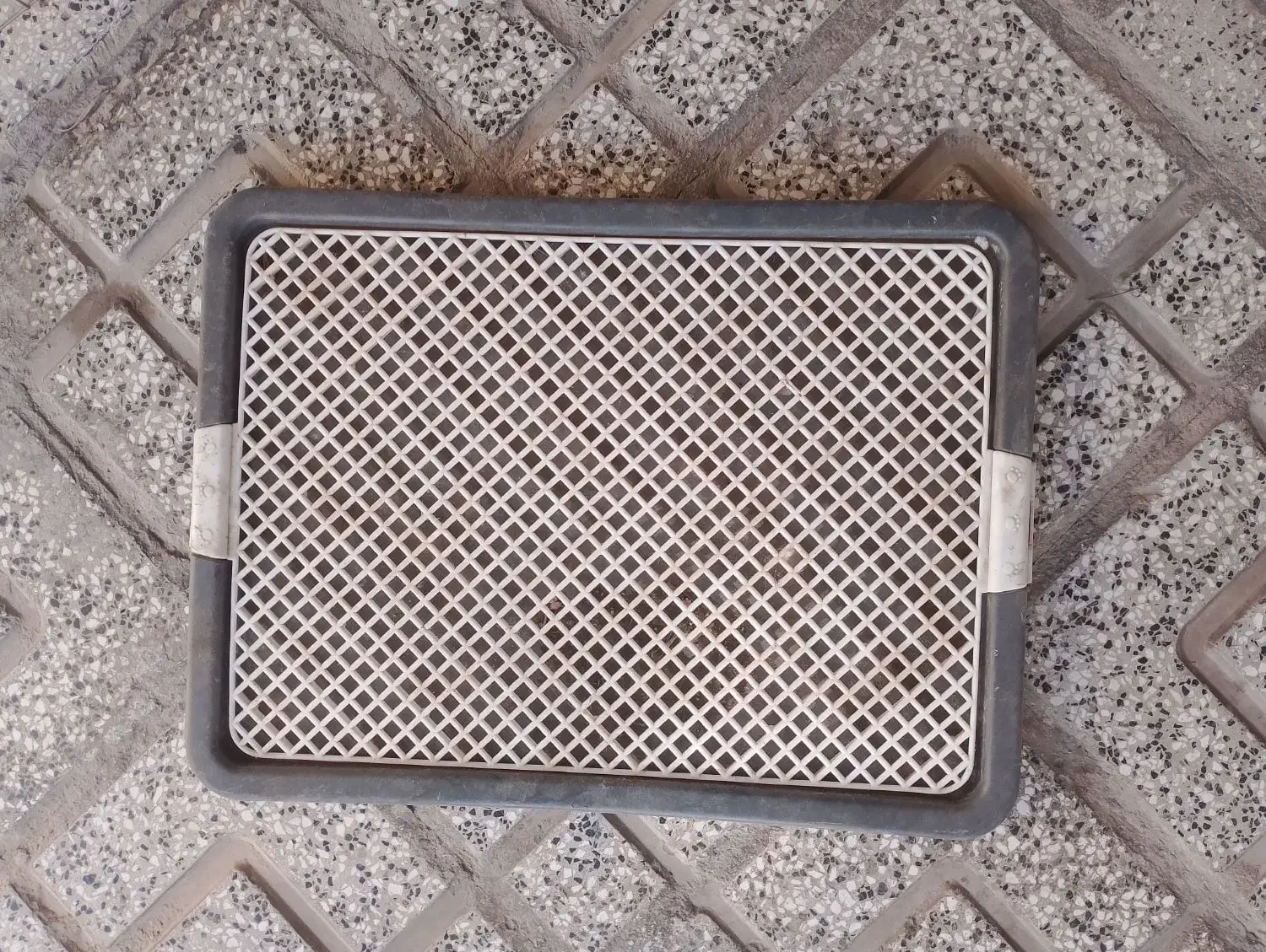 پارک سگ|لوازم جانبی حیوانات|کاشمر, |دیوار