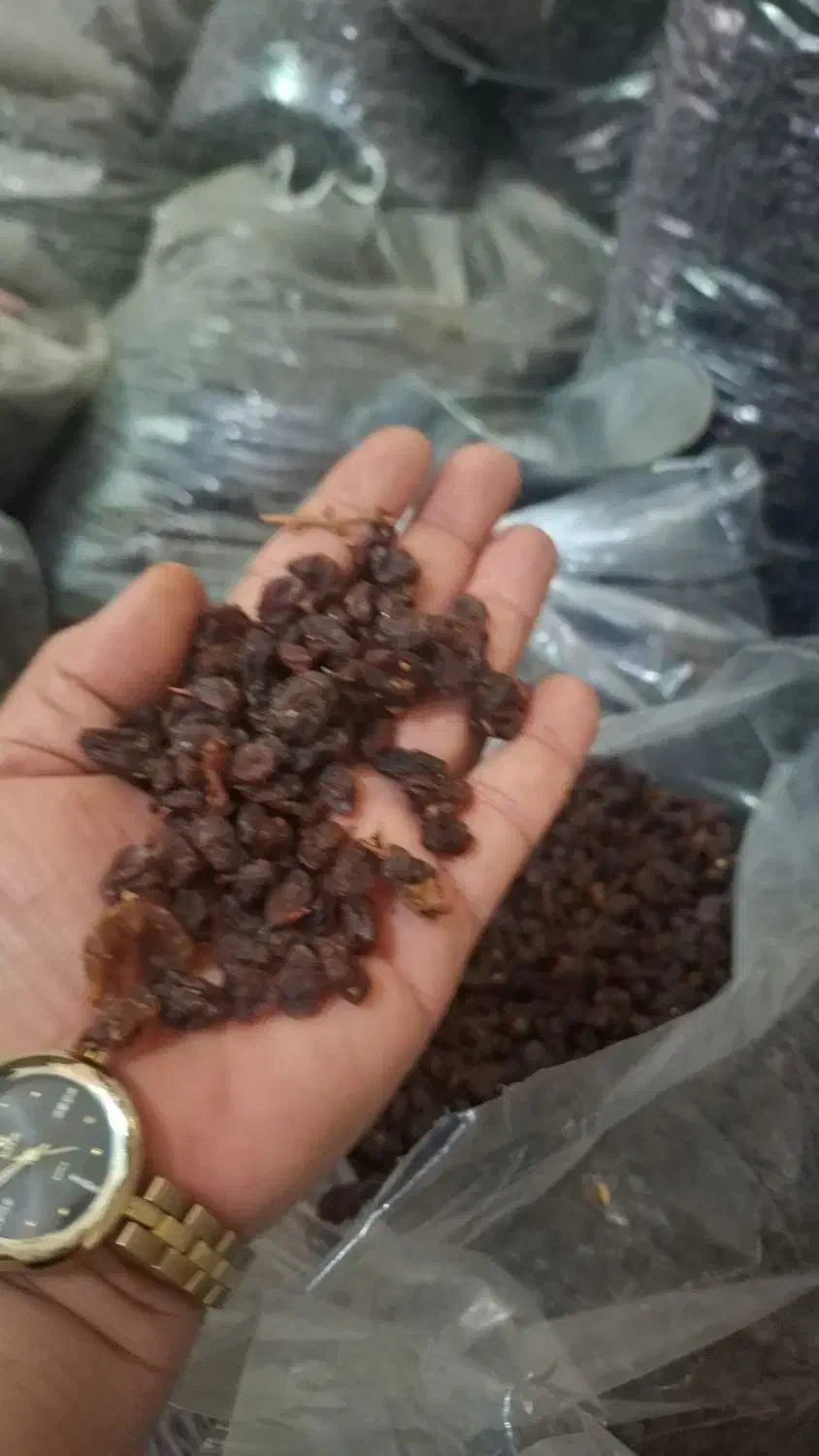 خوردنی و آشامیدنی|خوردنی و آشامیدنی|خمینیشهر, |دیوار