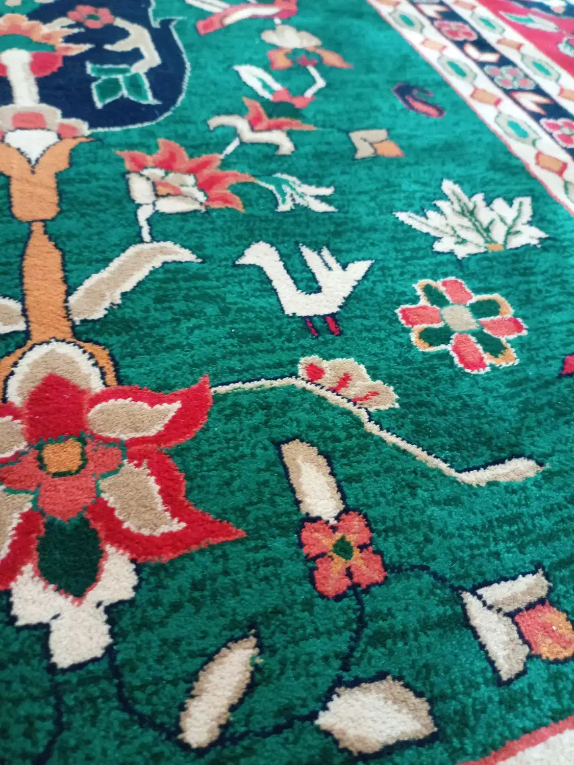 کارت استخر صدف 12 جلسه|بلیت ورزشی|زنجان, |دیوار