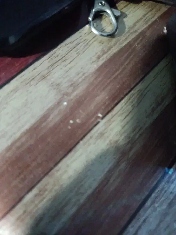 کارگر دکه فلافلی ولیعصر روبرو تامین اجتماعی|استخدام خدمات فروشگاه و رستوران|میناب, |دیوار