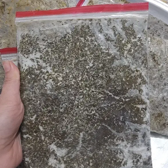 سبزی قرمه|خوردنی و آشامیدنی|تهران, طیب|دیوار