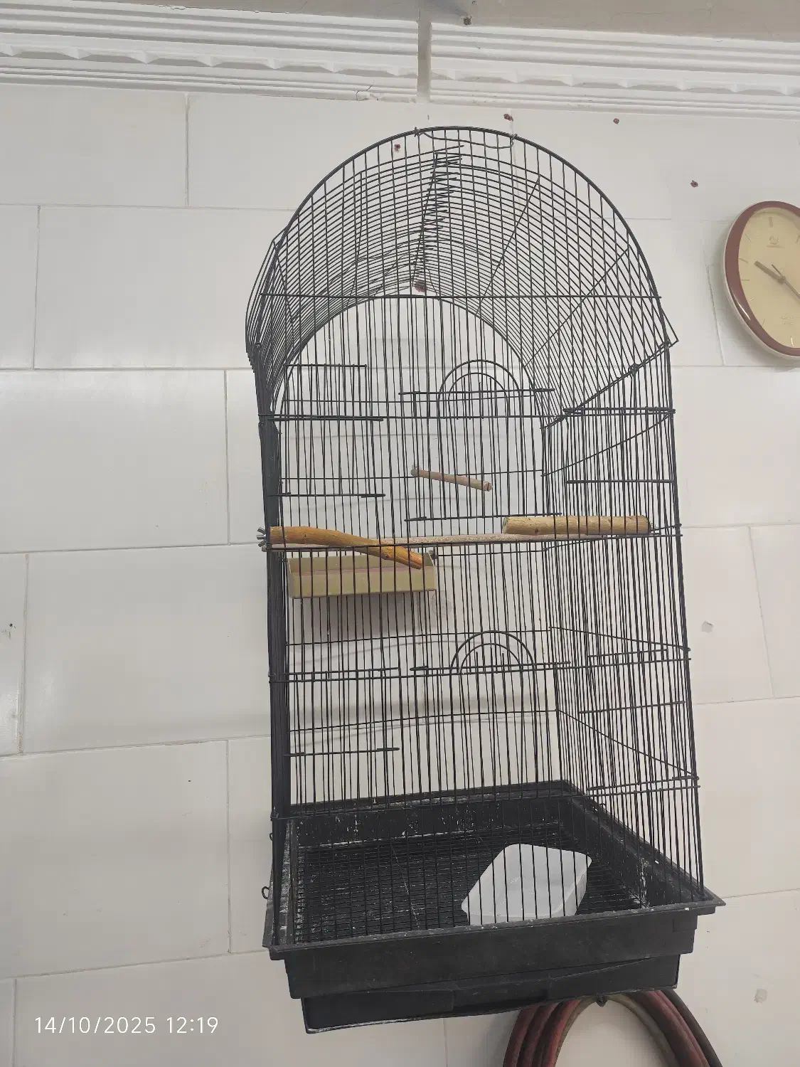قفسه پرنده طوطی،عروس هلندی با تجهیزات، ۷۰۰|لوازم جانبی حیوانات|اصفهان, قلعه طبره|دیوار