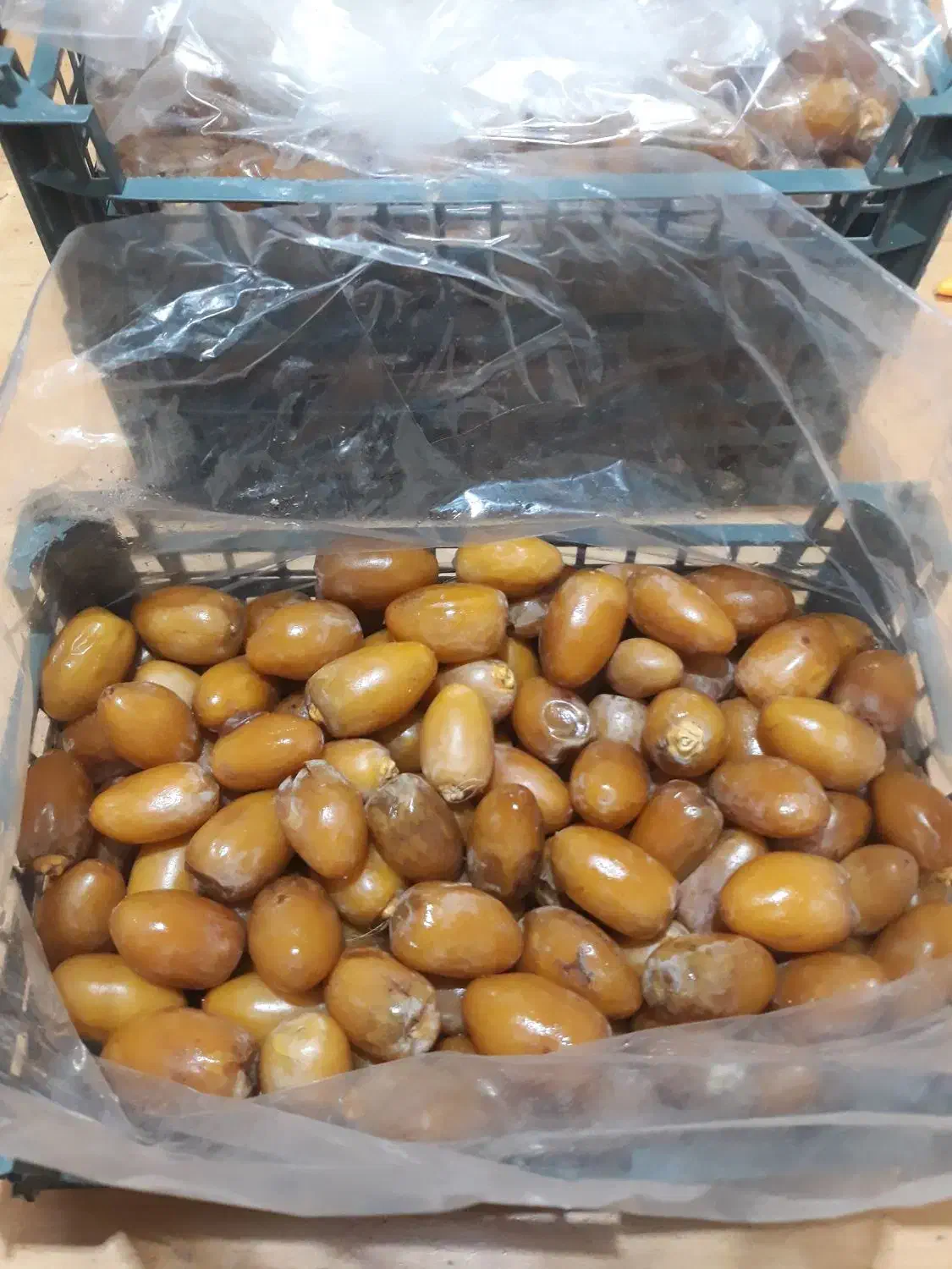 انواع خرما|خوردنی و آشامیدنی|قم, بکایی|دیوار